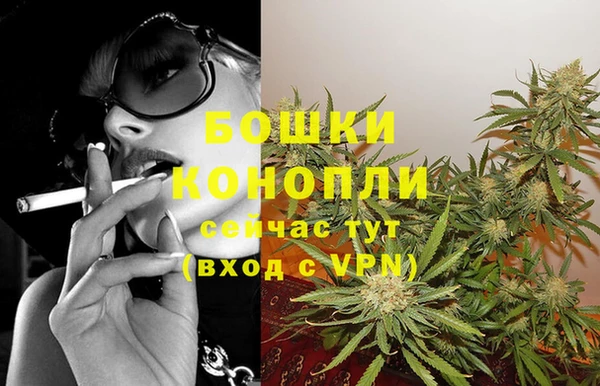 стафф Аркадак