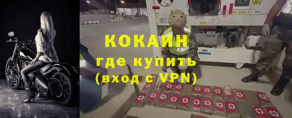 стафф Аркадак