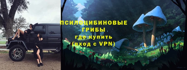 стафф Аркадак