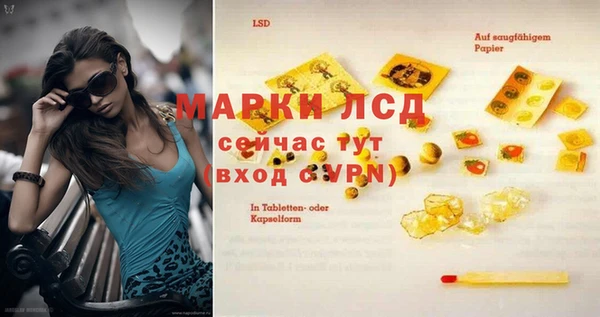 стафф Аркадак