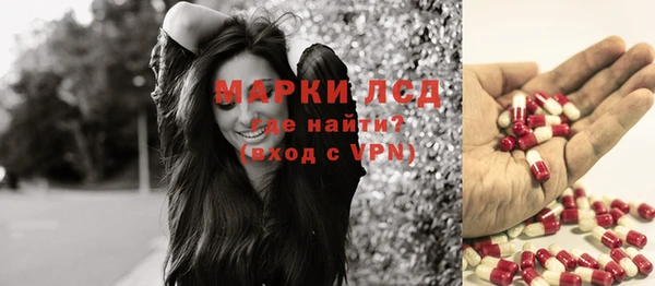 стафф Аркадак
