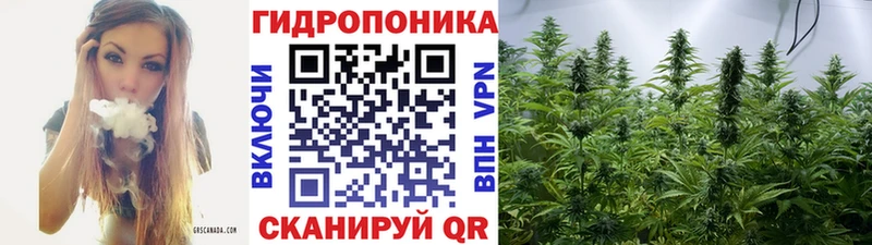 Шишки марихуана White Widow Никольск